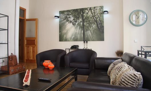 Apartamentos Echegaray Suite