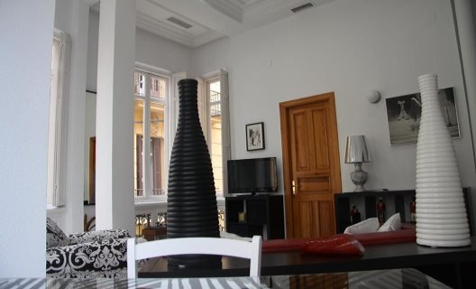 Apartamentos Echegaray Suite