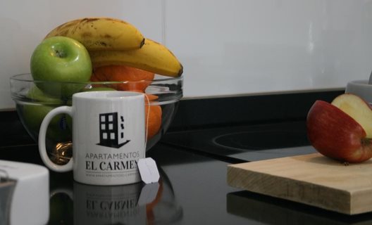 Apartamentos El Carmen