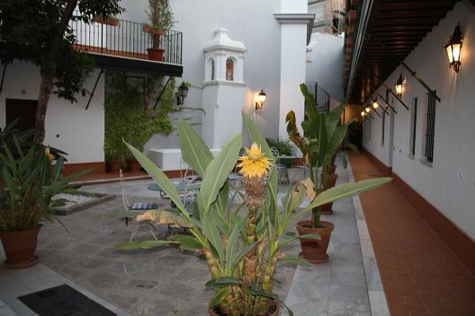 Apartamentos El Corral De San Jose