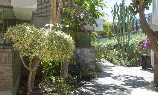 Apartamentos El Paseo