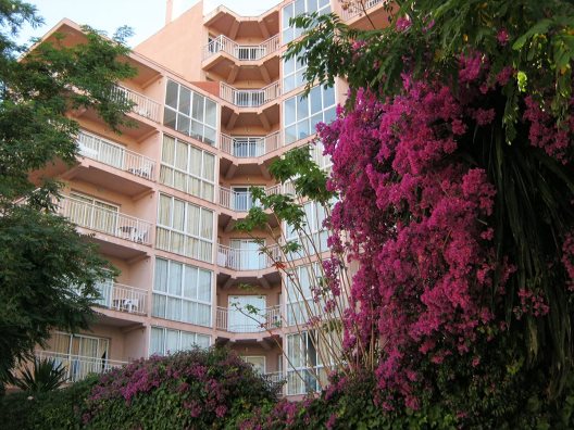 Apartamentos El Velero