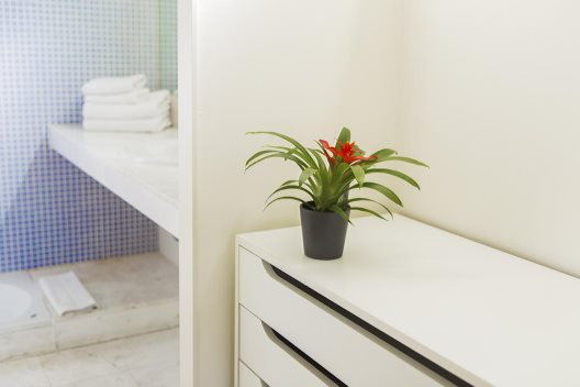 Apartamentos Els Quimics