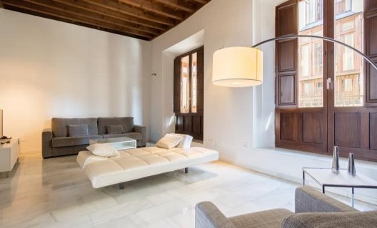 Apartamentos Elvira Suites