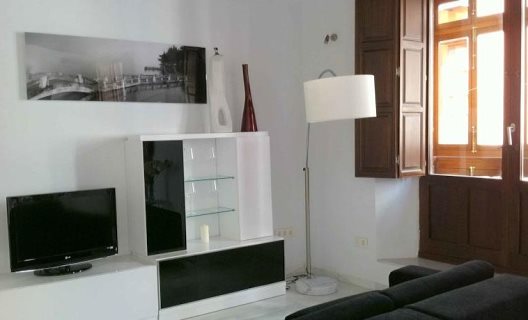 Apartamentos Elvira Suites