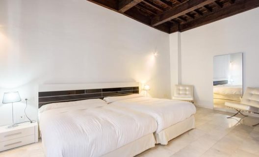 Apartamentos Elvira Suites