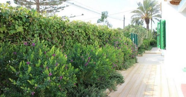 Apartamentos Es Daus Formentera Break
