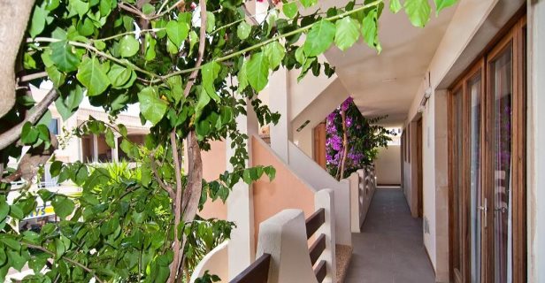 Apartamentos Estanques