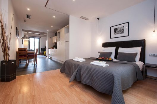 Apartamentos Feel Good Liceu