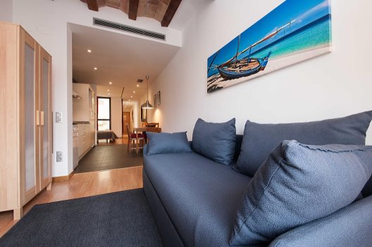 Apartamentos Feel Good Liceu