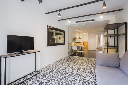 Apartamentos Feel Good Liceu