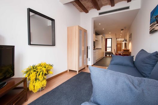 Apartamentos Feel Good Liceu