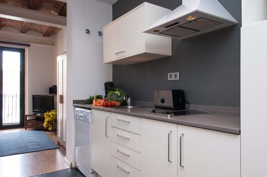 Apartamentos Feel Good Liceu