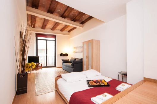 Apartamentos Feel Good Liceu