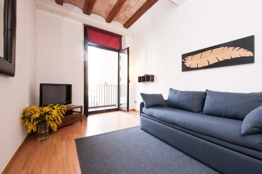 Apartamentos Feel Good Liceu