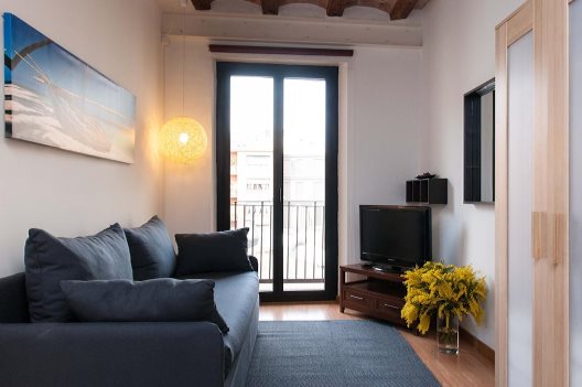 Apartamentos Feel Good Liceu