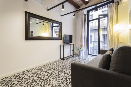Apartamentos Feel Good Liceu