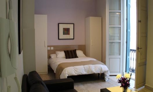 Apartamentos Feel Picasso Center