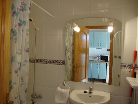 Apartamentos Fenix
