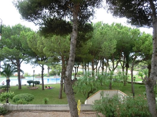 Apartamentos Finca Del Moro
