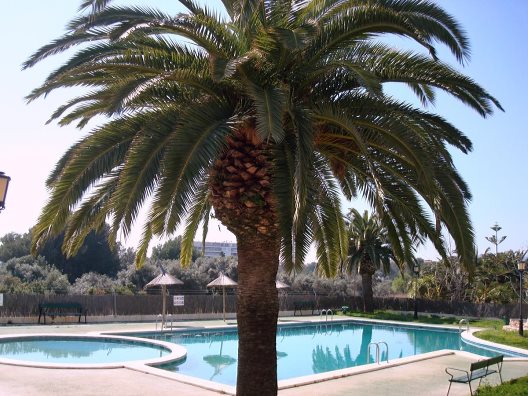 Apartamentos Finca Del Moro