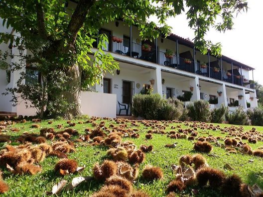 Apartamentos Finca La Media Legua
