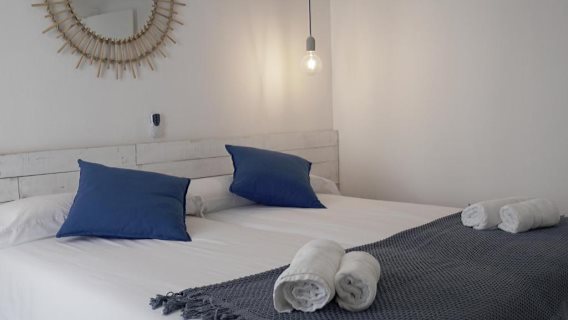 Apartamentos Fleming 50