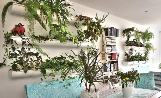 Apartamentos Gelimar
