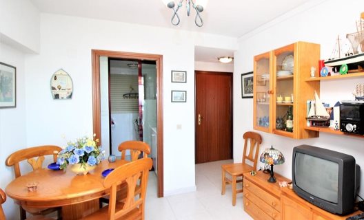 Apartamentos Gemelos XV