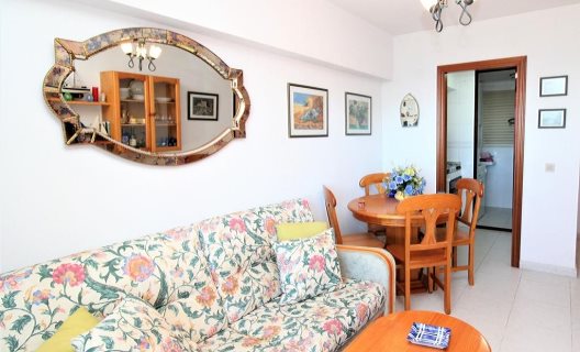 Apartamentos Gemelos XV