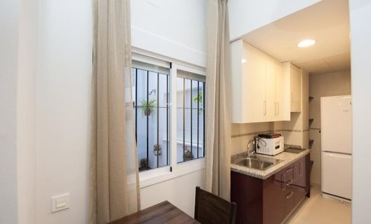 Apartamentos Gibralfaro Centro