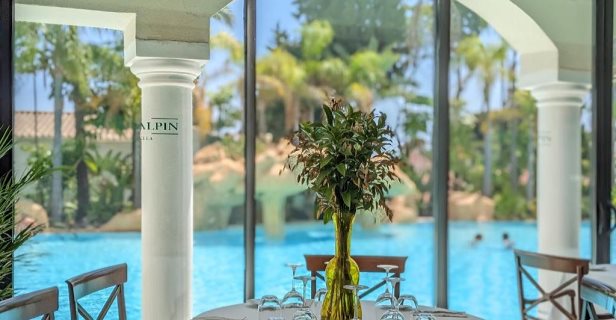Apartamentos Guadalpin Suites