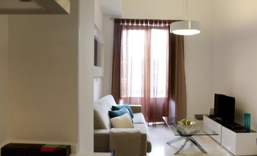 Apartamentos Habitat Suites Gran Vía 17