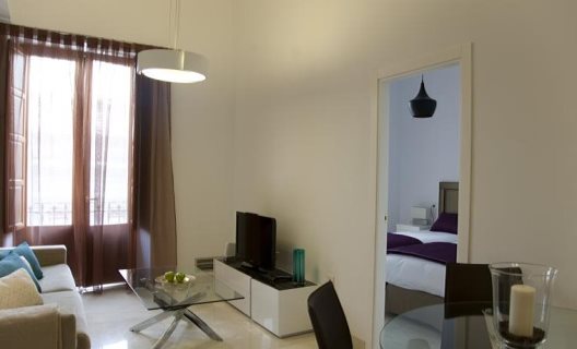 Apartamentos Habitat Suites Gran Vía 17
