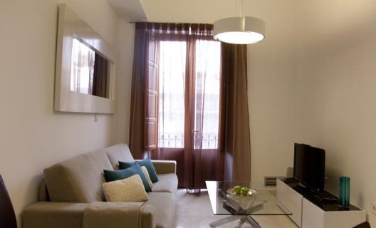 Apartamentos Habitat Suites Gran Vía 17