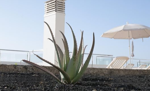 Apartamentos Hartaguna