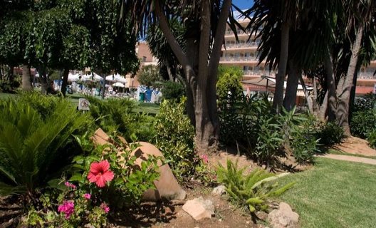 Apartamentos Helios Mallorca
