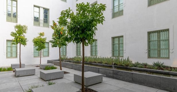 Apartamentos Holiday Rentals Los Salados