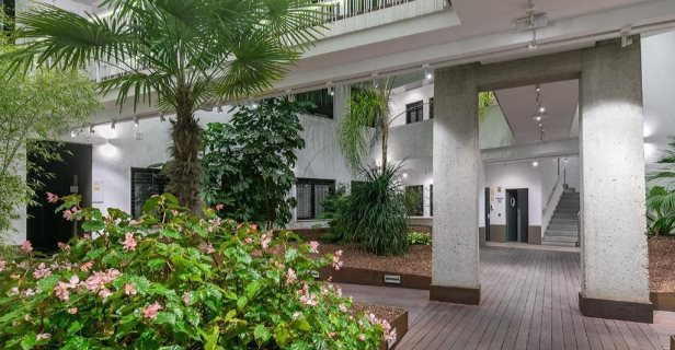 Apartamentos Holiday Rentals Tempa Museo