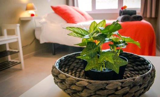Apartamentos Holidays2malaga Studios Mena