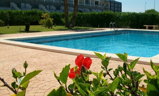 Apartamentos Hoyo 12 Oliva