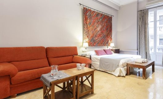 Apartamentos In Barcelona Via Laietana