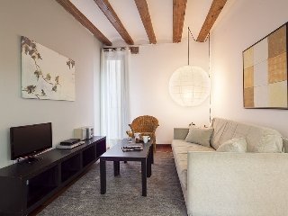Apartamentos Inside Barcelona Esparteria