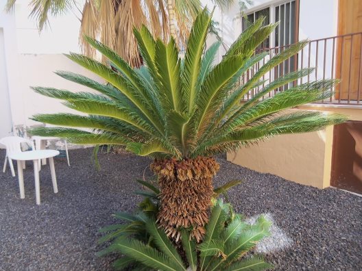 Apartamentos Isa 2