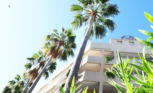 Apartamentos Jade
