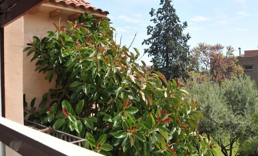Apartamentos Jerico Suites