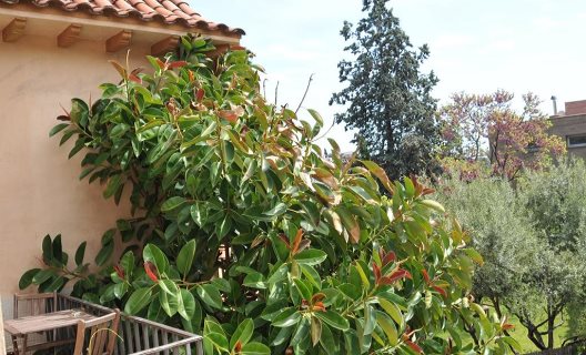 Apartamentos Jerico Suites