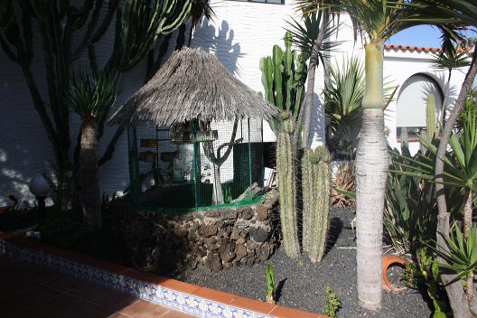 Apartamentos La Concha