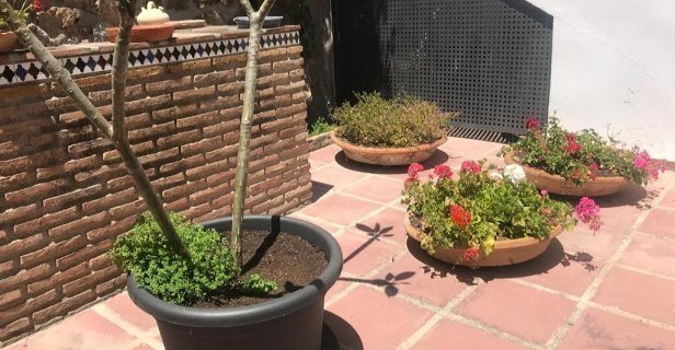 Apartamentos La Mundial