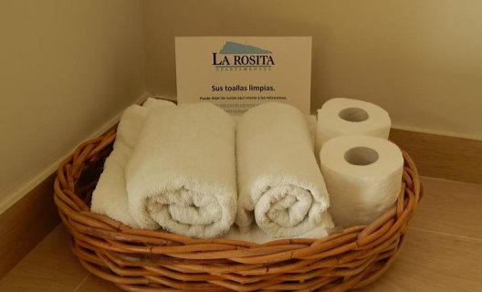 Apartamentos La Rosita
